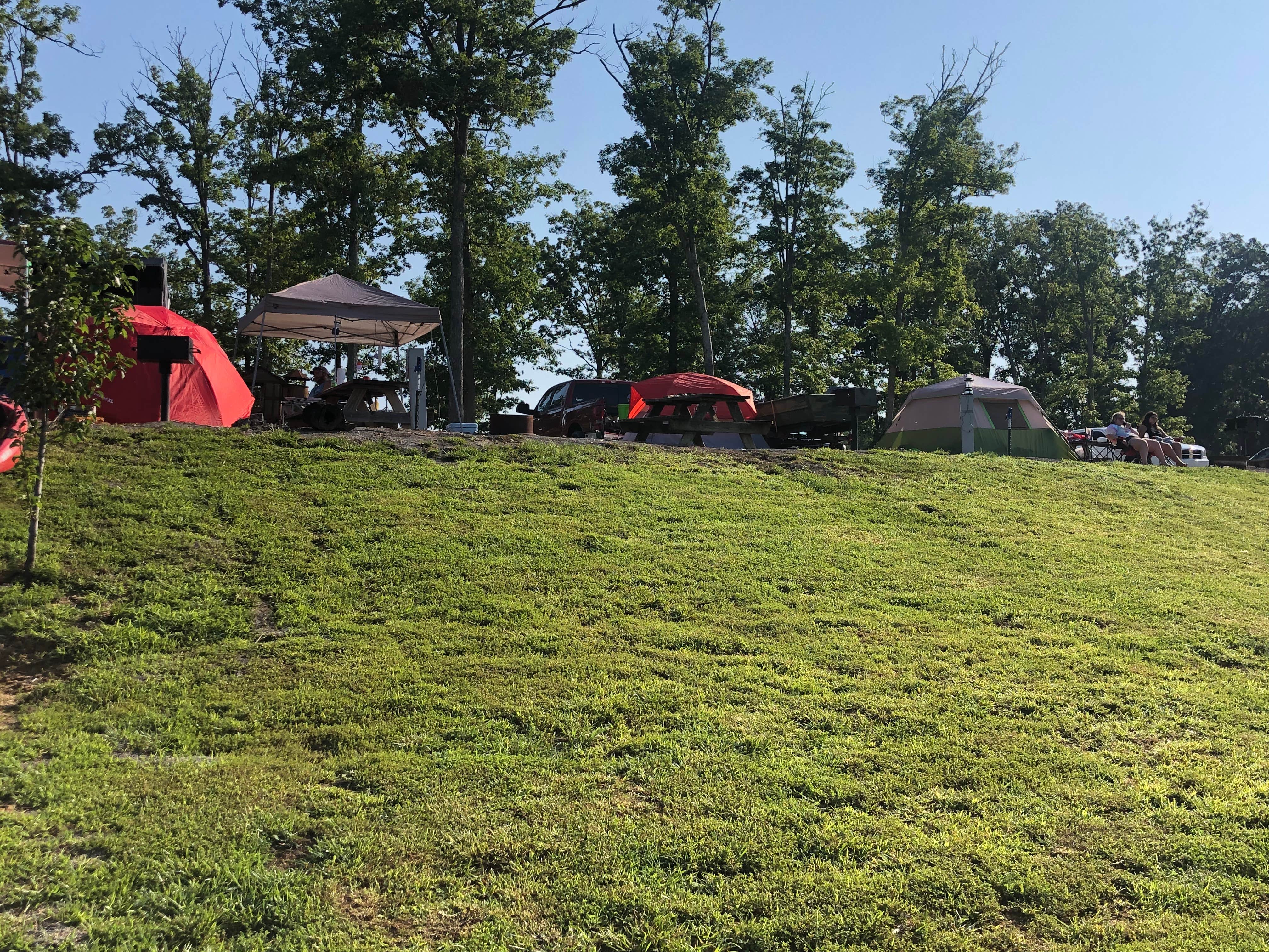 Camper submitted image from Holpps Pine Ridge Lake Campground - 4