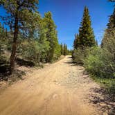 Review photo of Rock Creek Designated Dispersed Camping by camfam , June 22, 2025