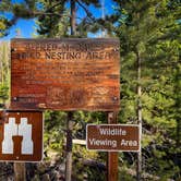 Review photo of Rock Creek Designated Dispersed Camping by camfam , June 22, 2025