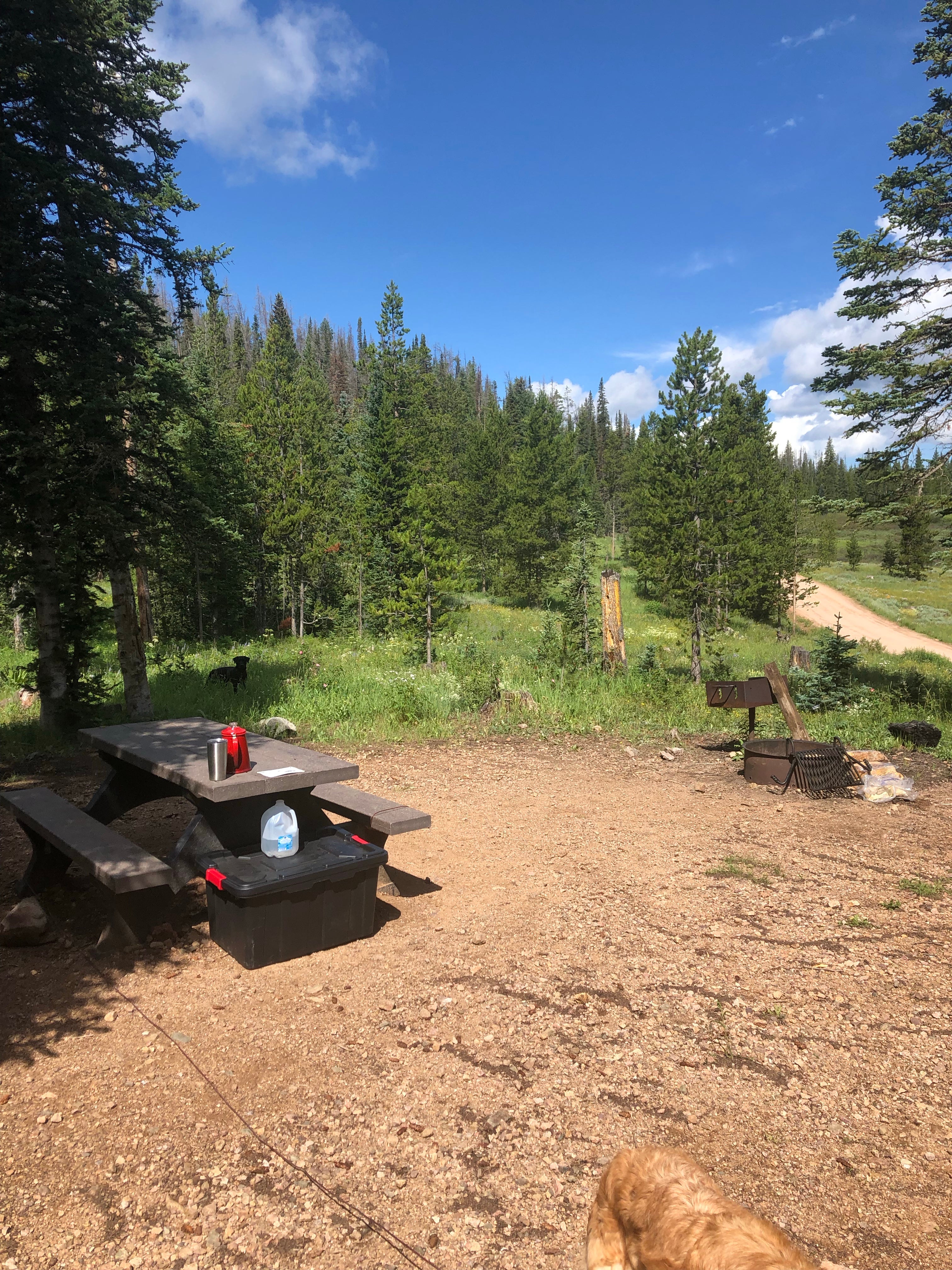 Camper submitted image from Lynx Pass Campground - 2