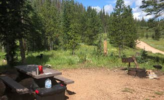Courtney L.'s photo at Lynx Pass Campground near Bond, CO