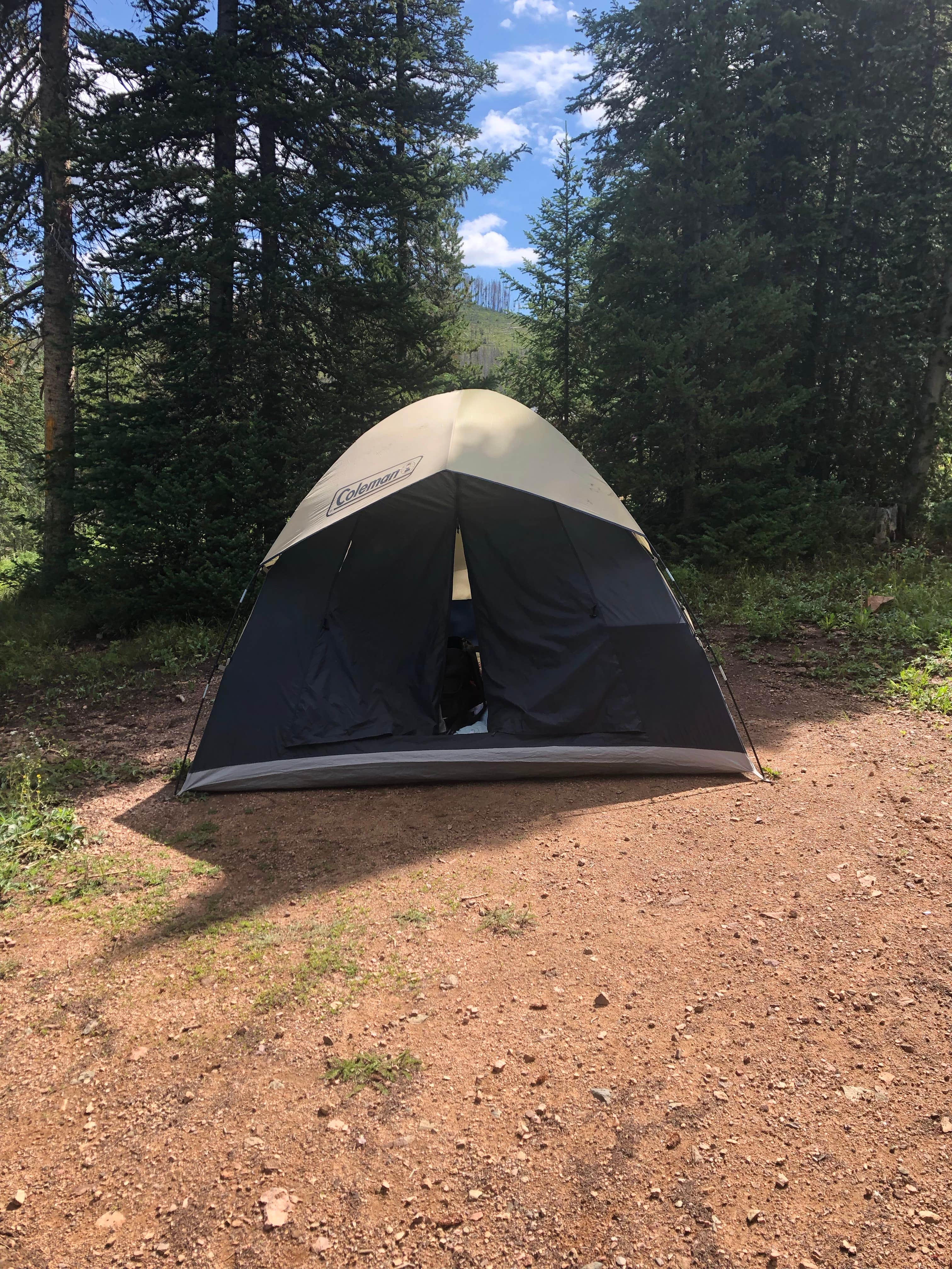 Camper submitted image from Lynx Pass Campground - 4
