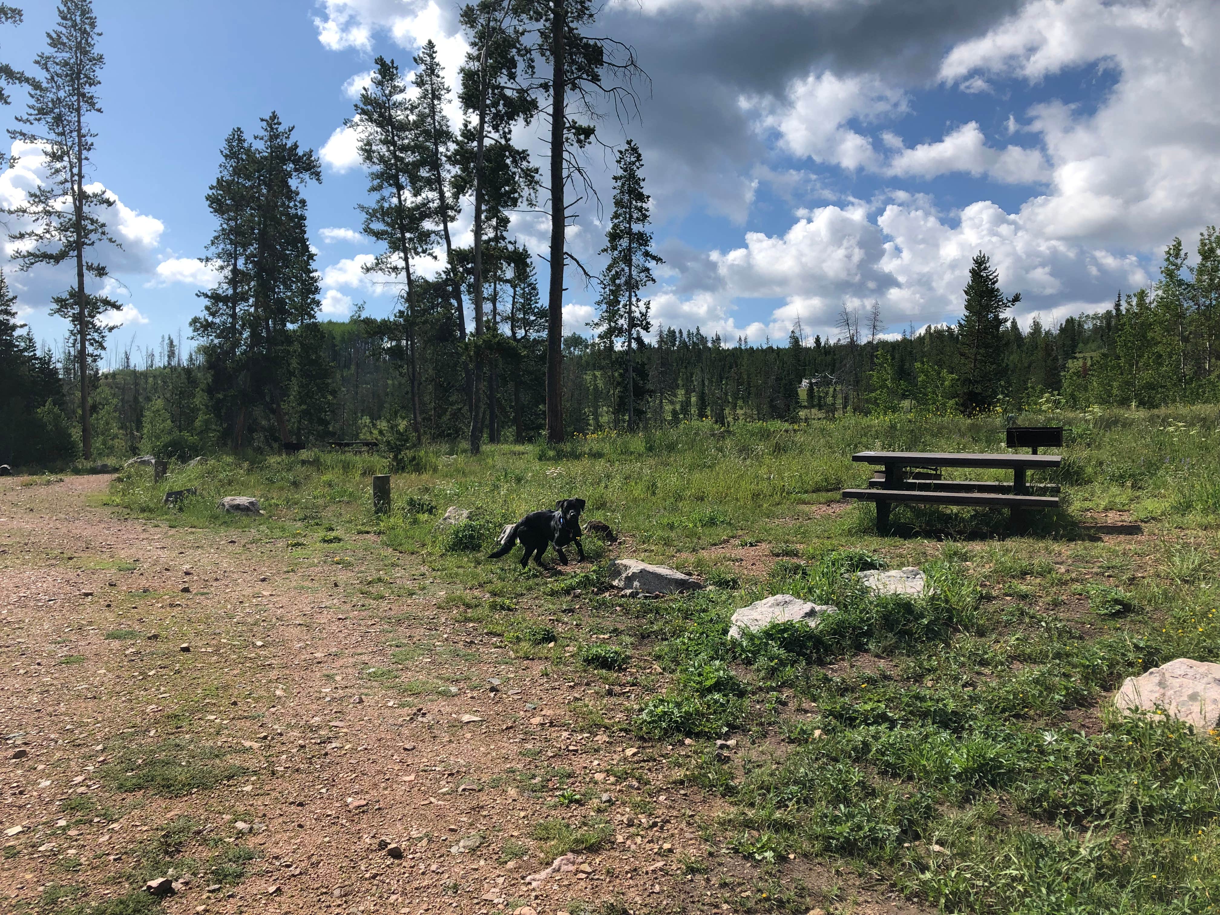 Camper-submitted photo at Lynx Pass Campground near Yampa, CO