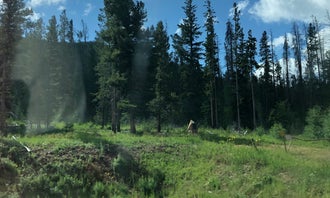Camping near Lynx Pass Campground: Gore Pass, Kremmling, Colorado