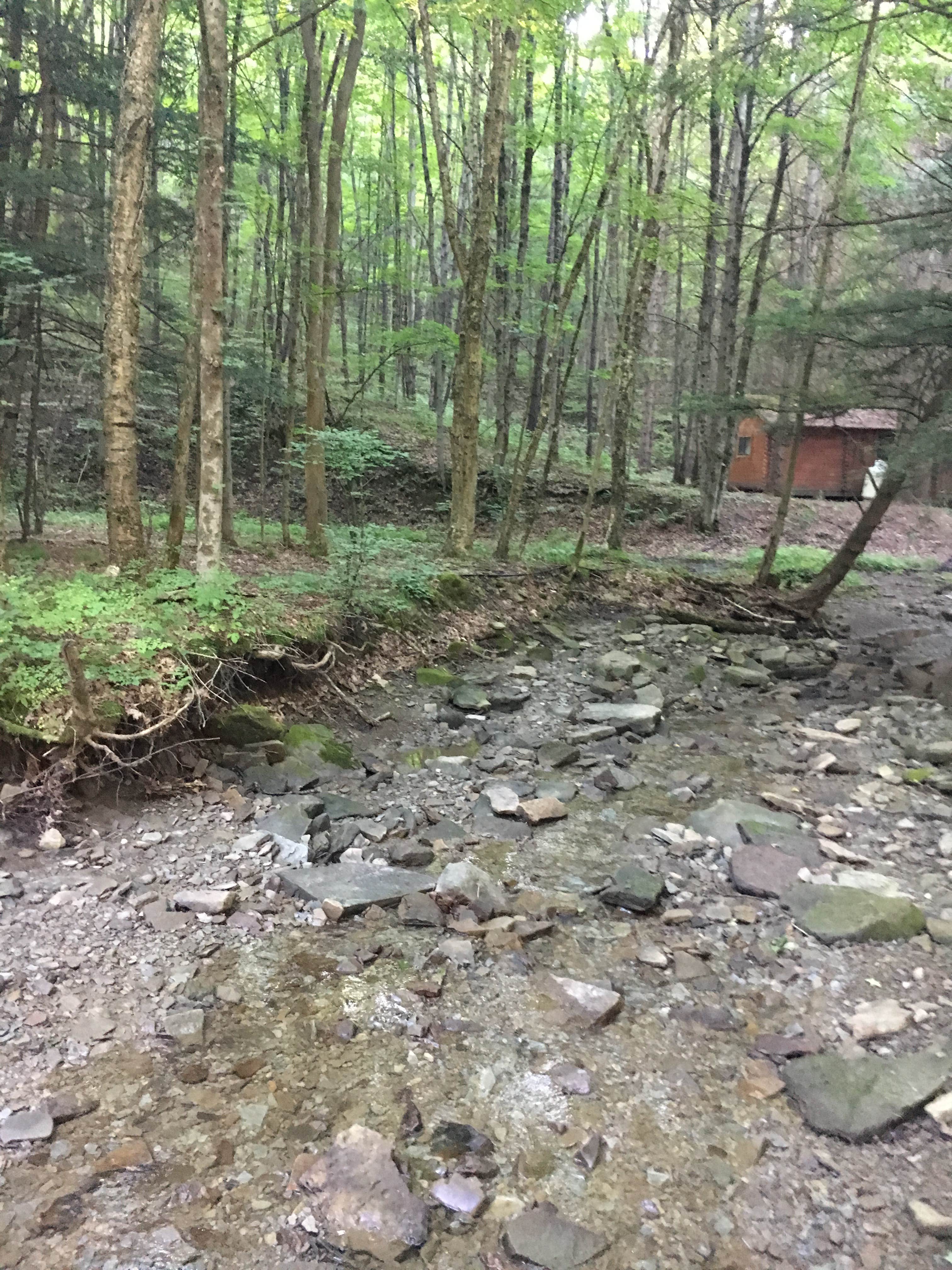 Camper submitted image from Evergreen Trails Campground - 3