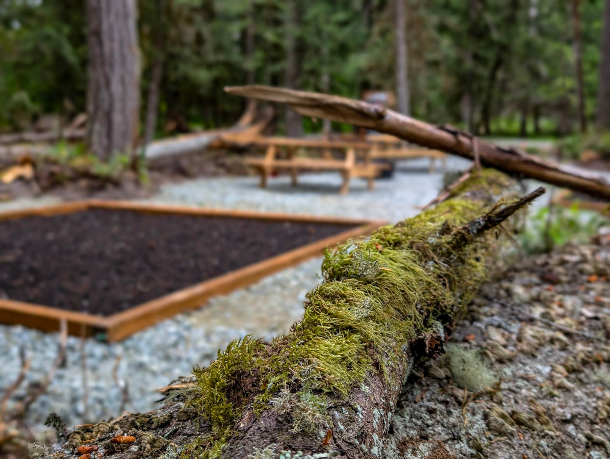 Camper-submitted photo at Paradise Pines near Orting, WA