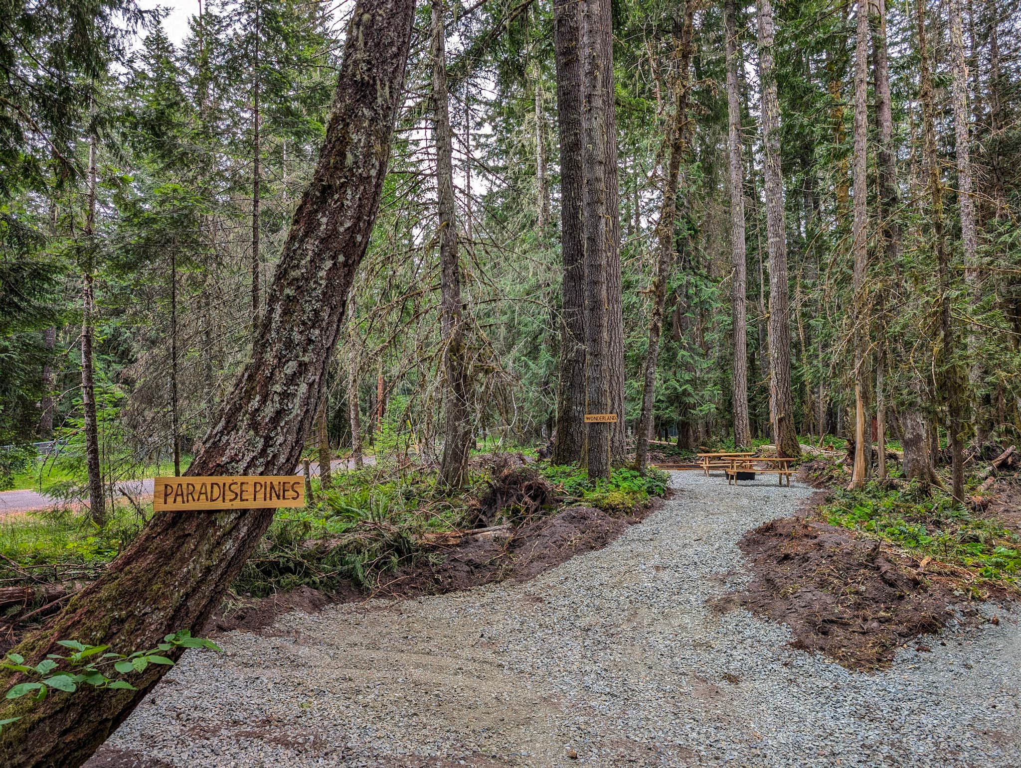Camper-submitted photo at Paradise Pines near Orting, WA