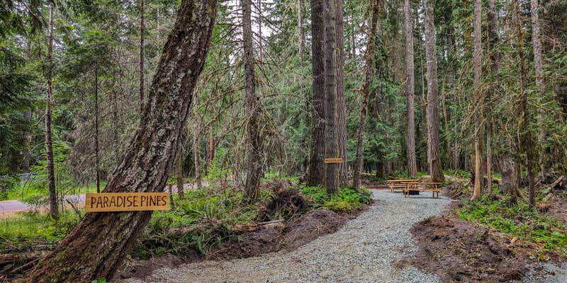 Camper submitted image from Paradise Pines