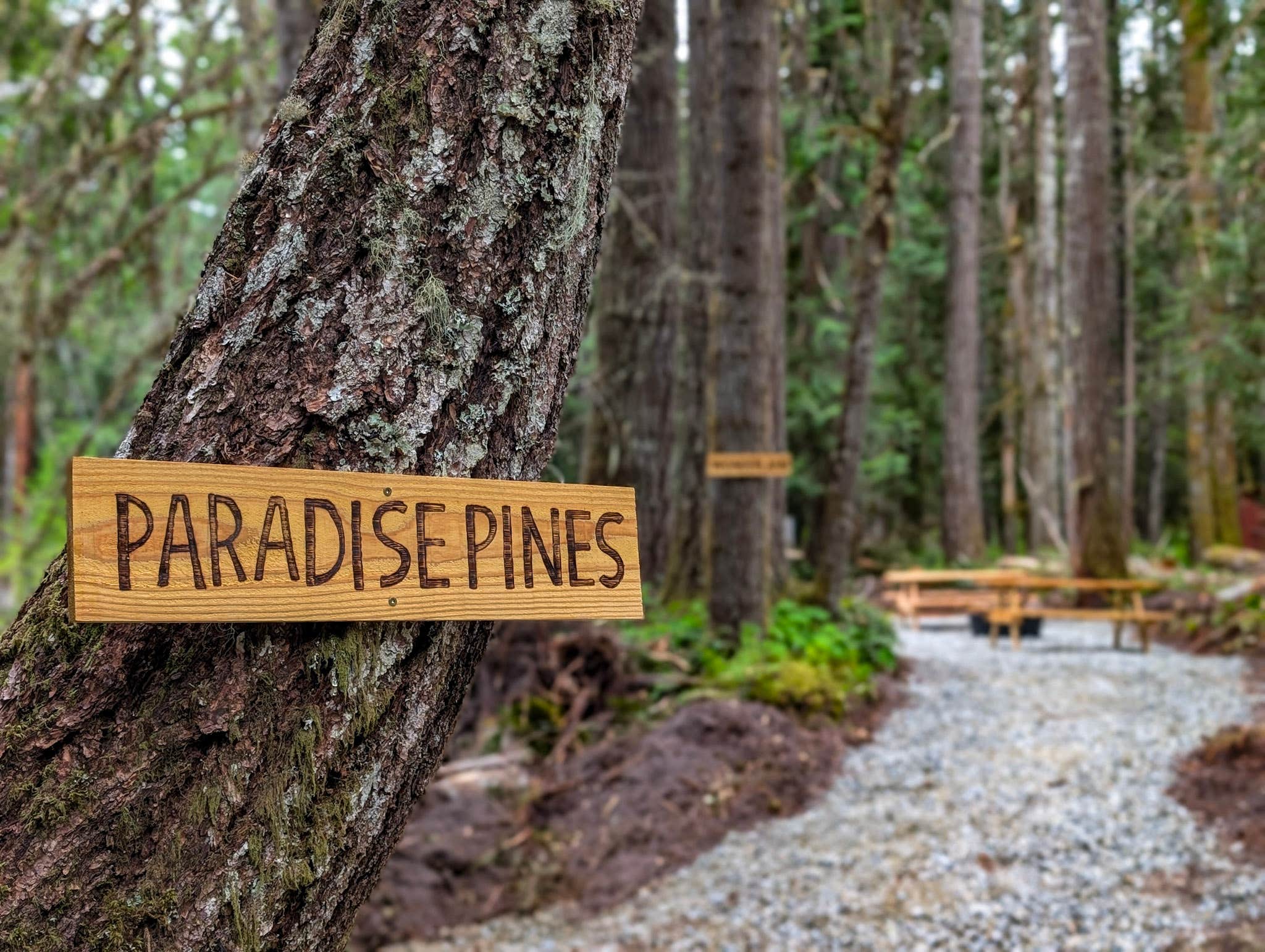 Camper-submitted photo at Paradise Pines near Orting, WA