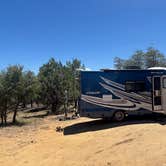 Review photo of Ponderosa Rd Dispersed by Michael F., June 23, 2025