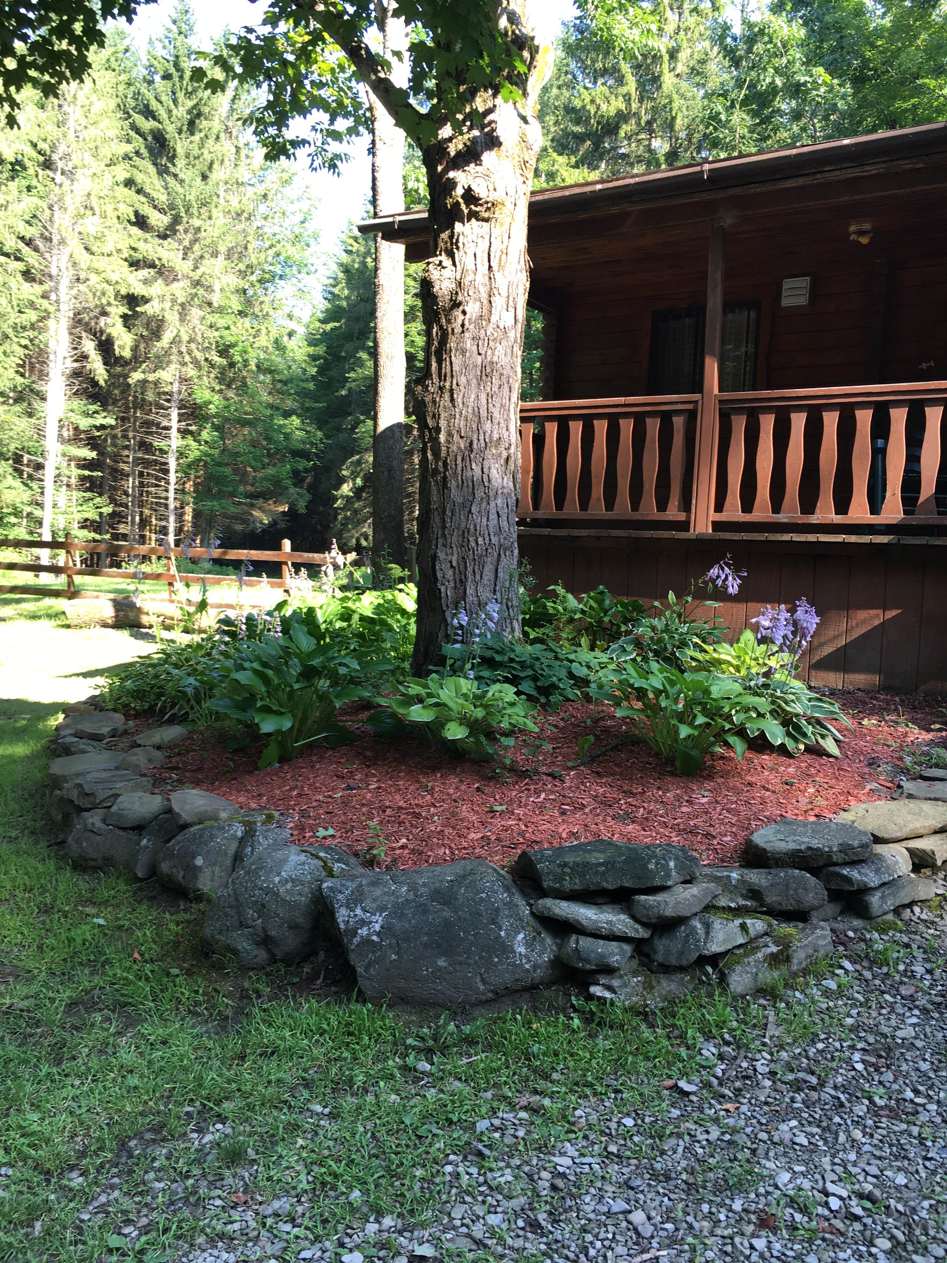 Evergreen top trails campground