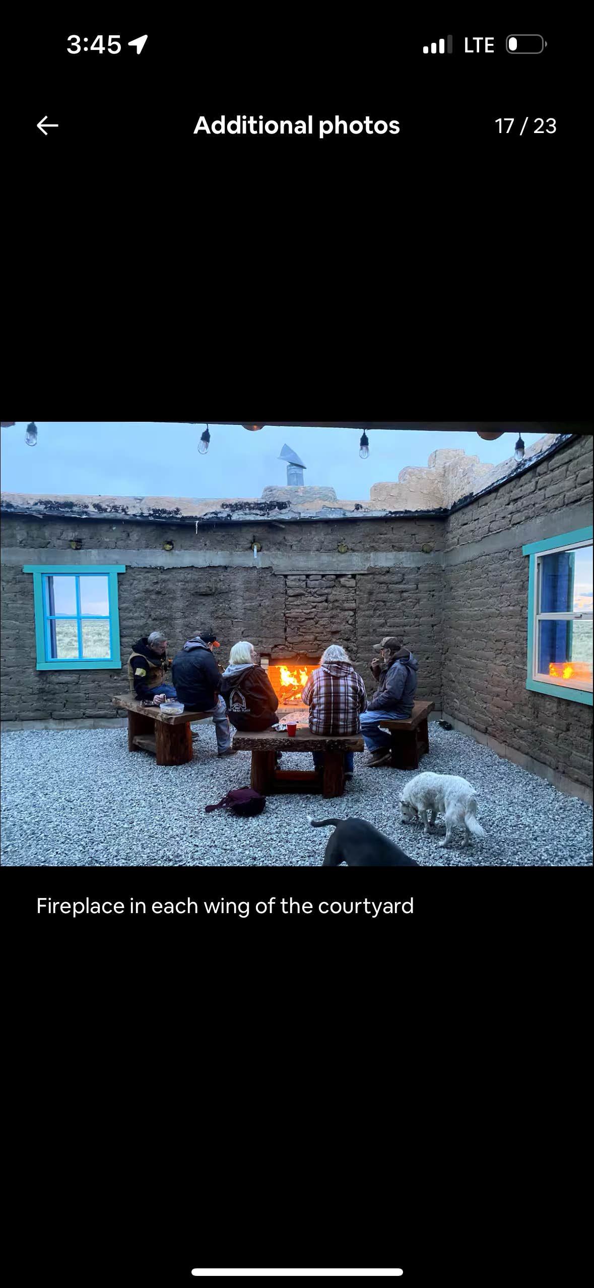 Cindy B.'s photo of camping with pets at The Lazy Llama Lodge - Campsites near Antonito, CO