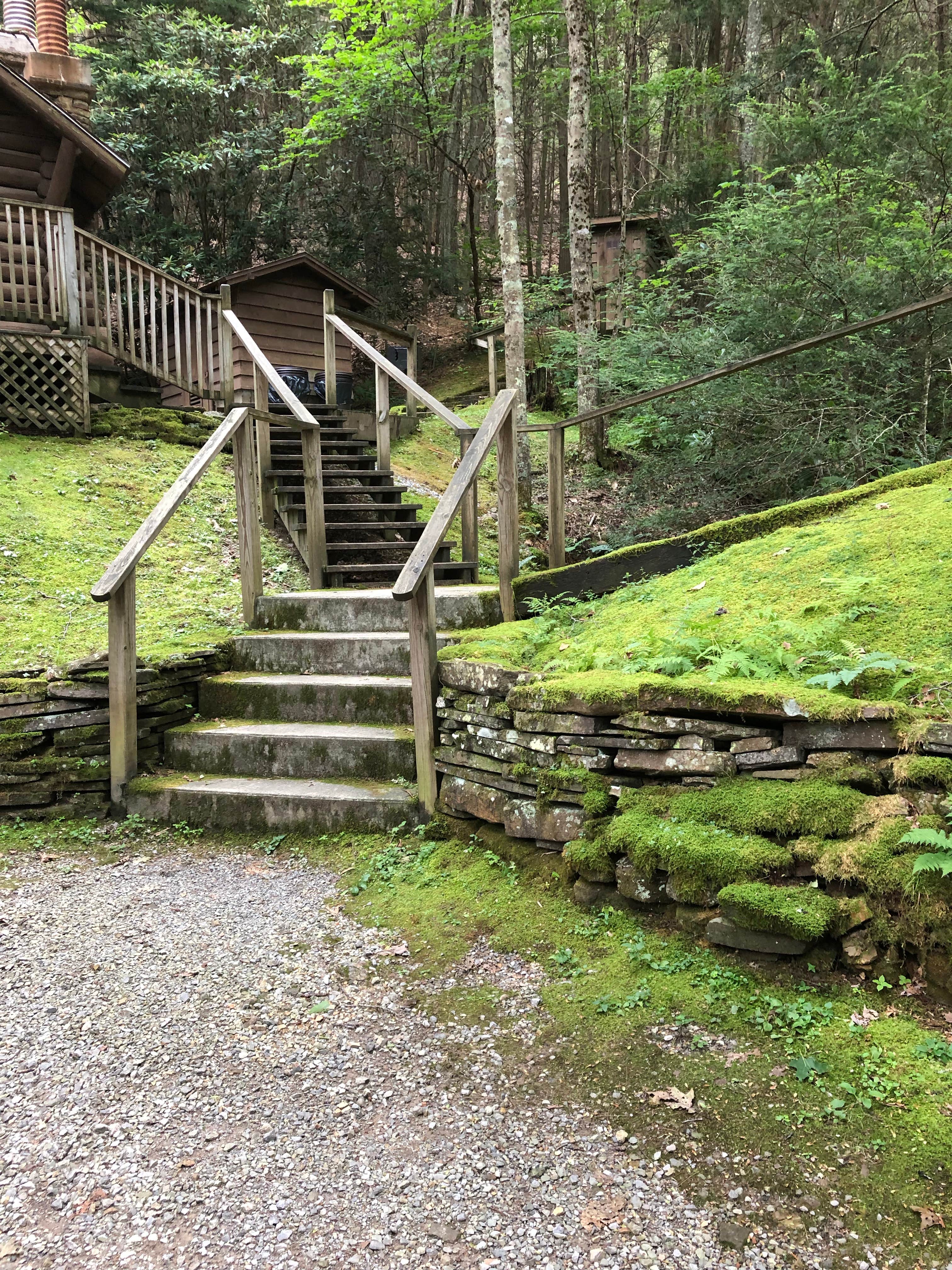 Camper submitted image from Seneca State Forest - 3