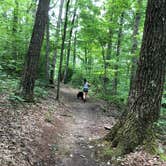 Review photo of Audra State Park Campground by David F., July 28, 2019