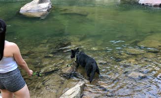 David F.'s photo of camping with pets at Audra State Park Campground near Paw Paw, WV