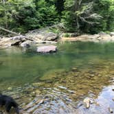 Review photo of Audra State Park Campground by David F., July 28, 2019