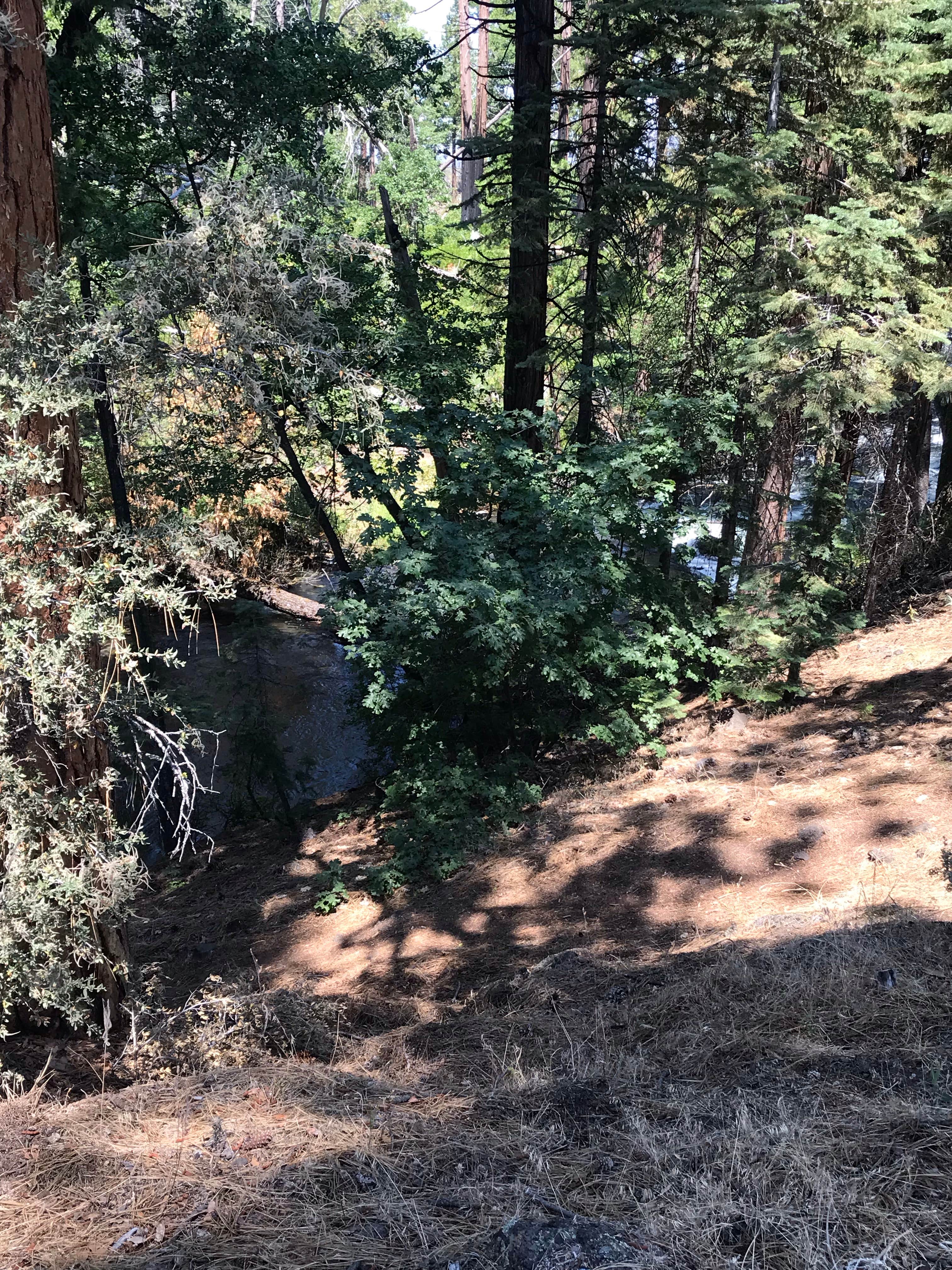 Camper-submitted photo at Rocky Campground near Lassen Volcanic National Park
