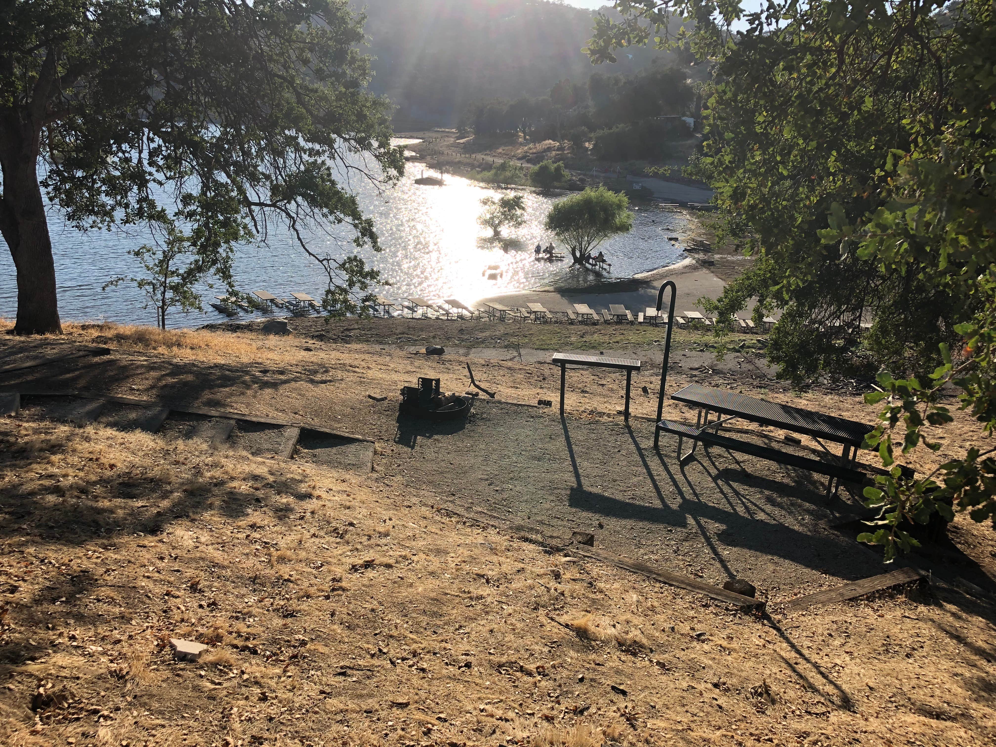Camper-submitted photo at Island Park near Reedley, CA
