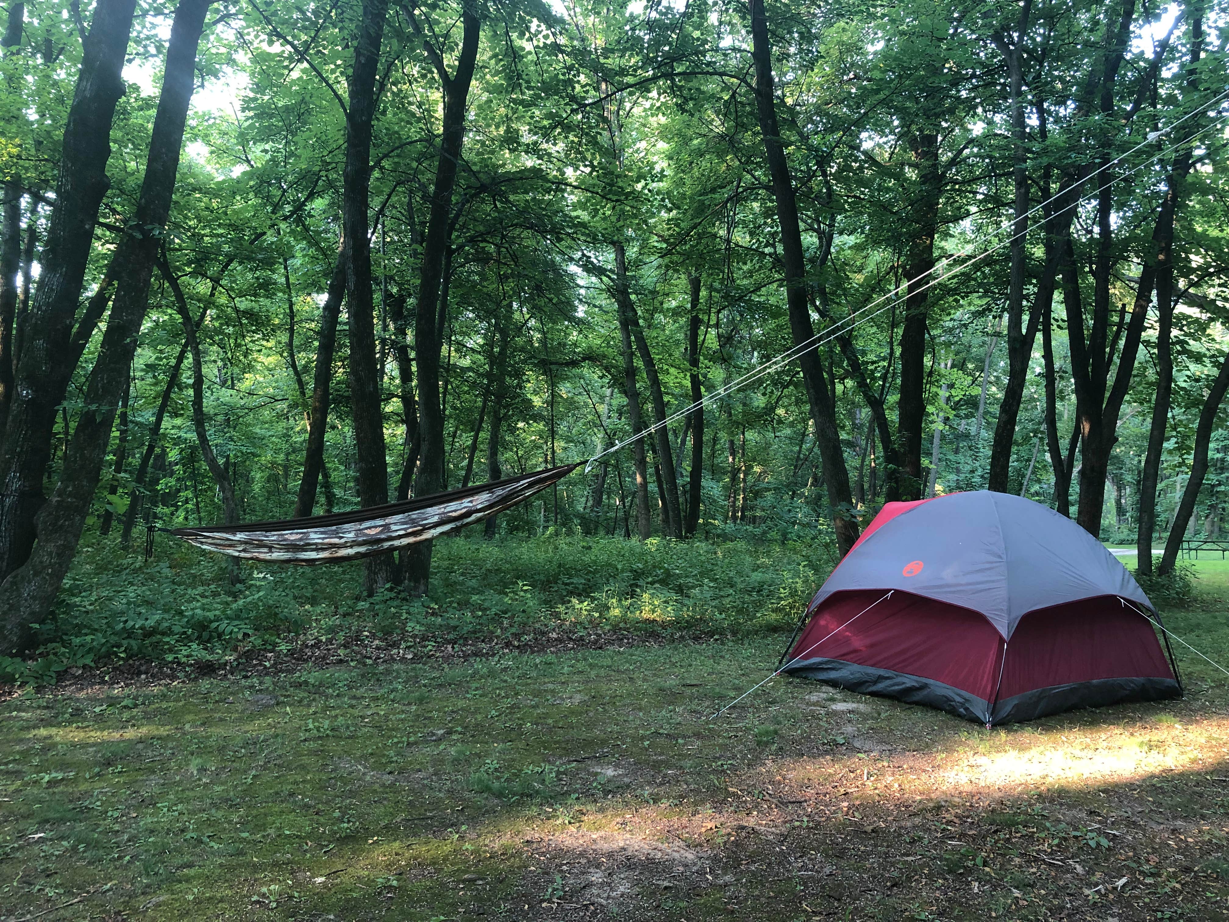 Willy W.'s photo of tent camping at Ashton Wildwood Park near Gladbrook, IA