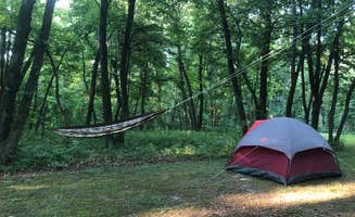 Willy W.'s photo at Ashton Wildwood Park near Grinnell, IA
