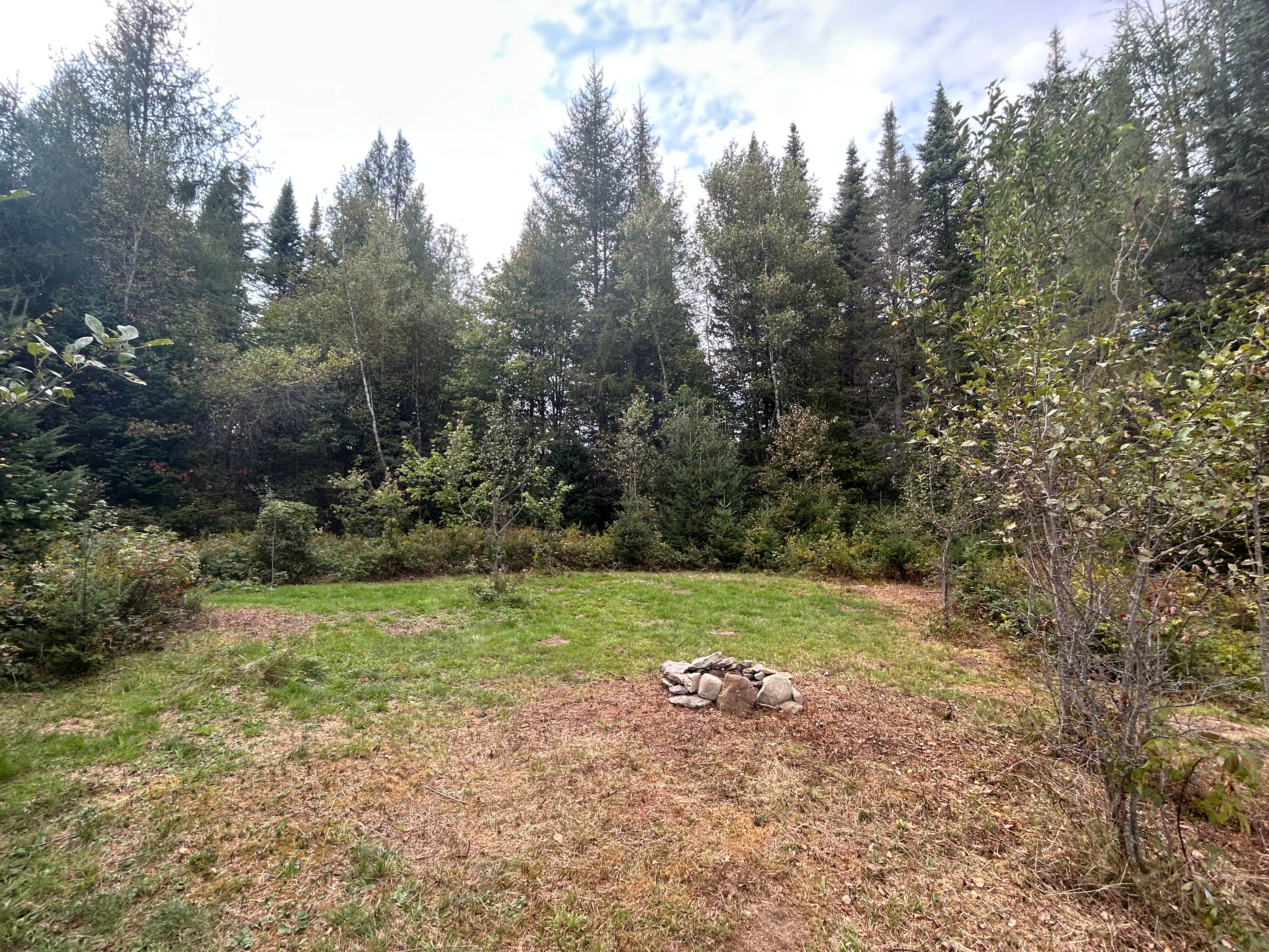 Camper submitted image from Wandering Pines - 1