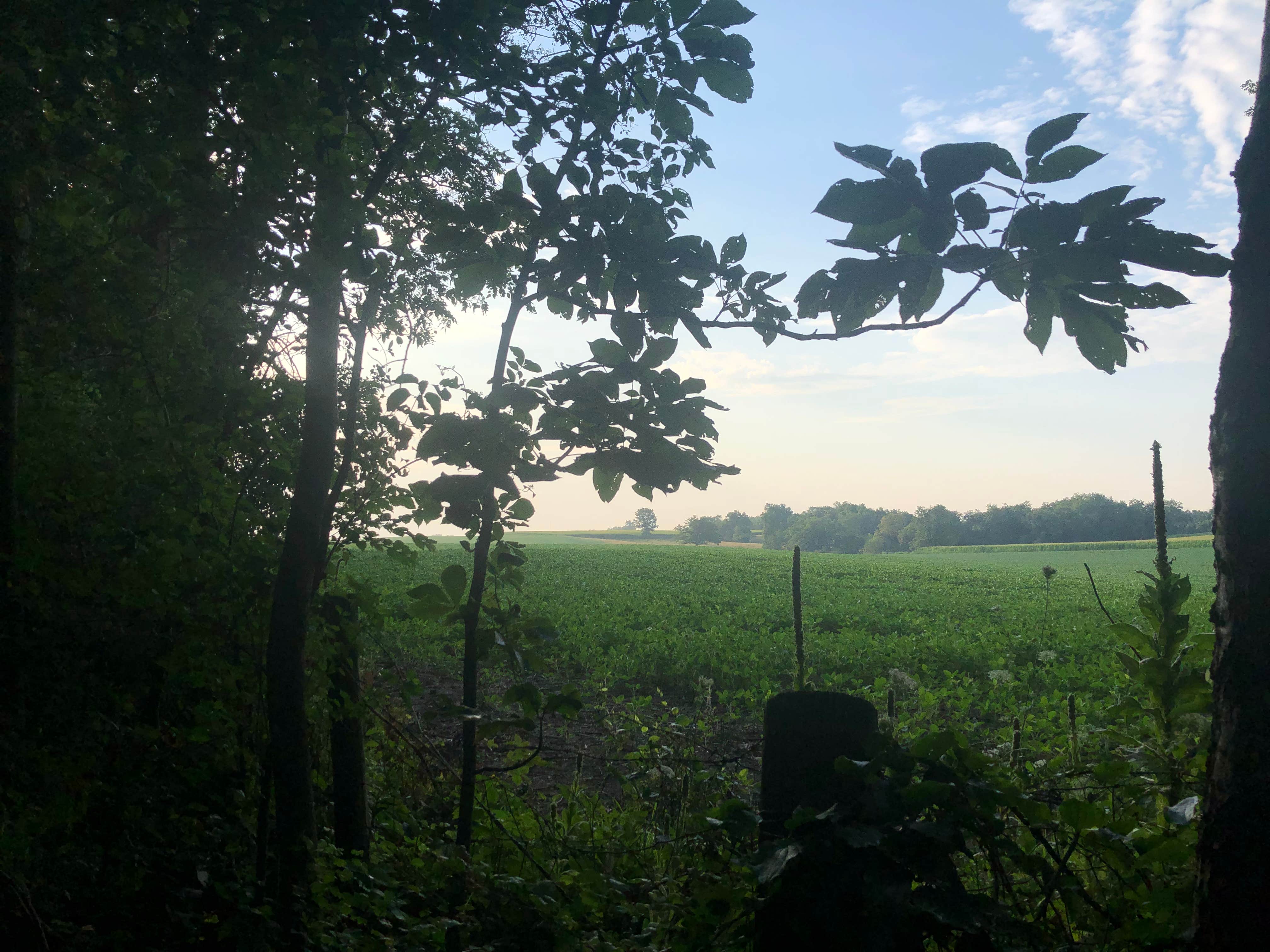 Camper-submitted photo at Ashton Wildwood Park near Gladbrook, IA