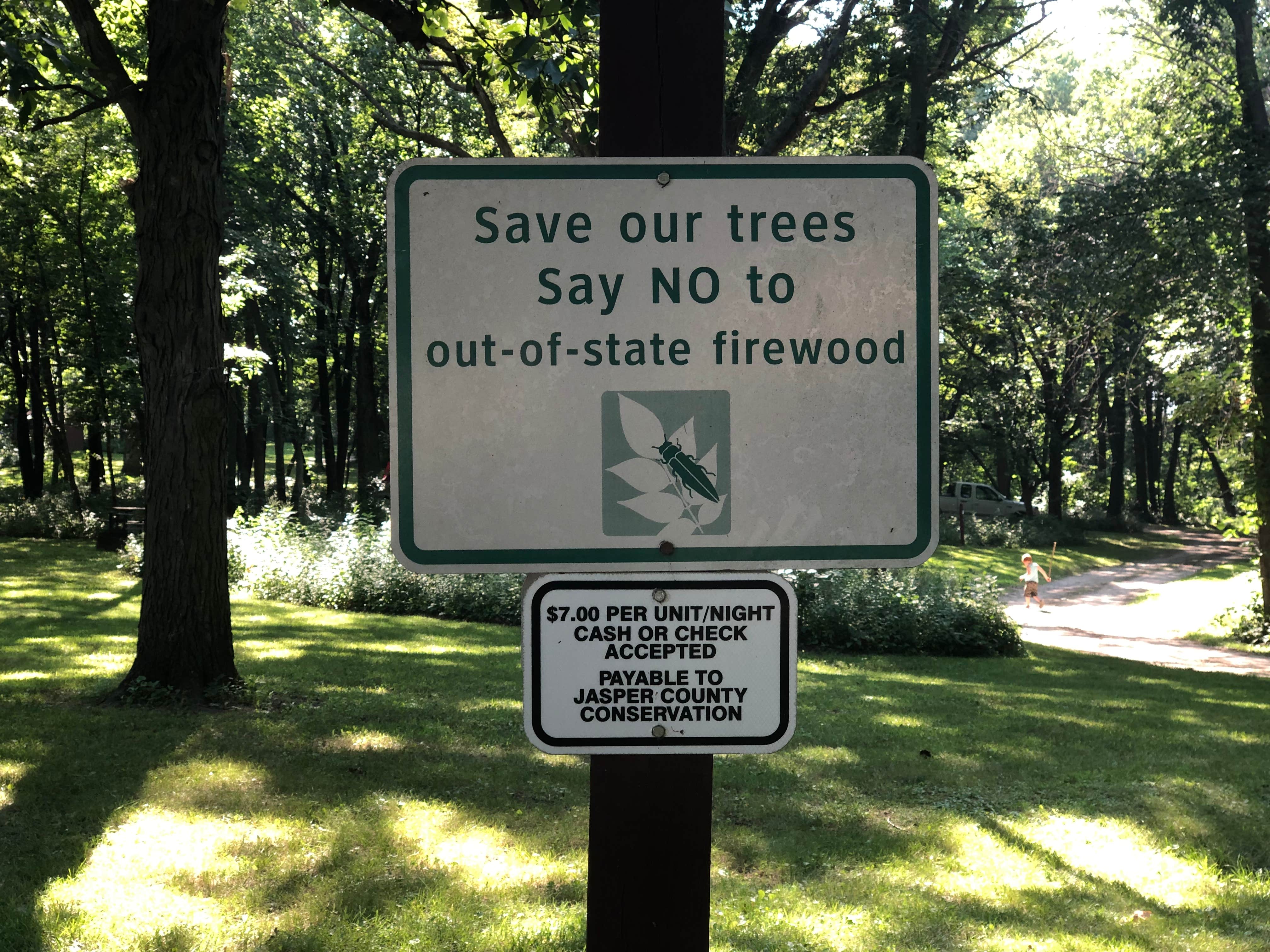 Camper-submitted photo at Ashton Wildwood Park near Gladbrook, IA