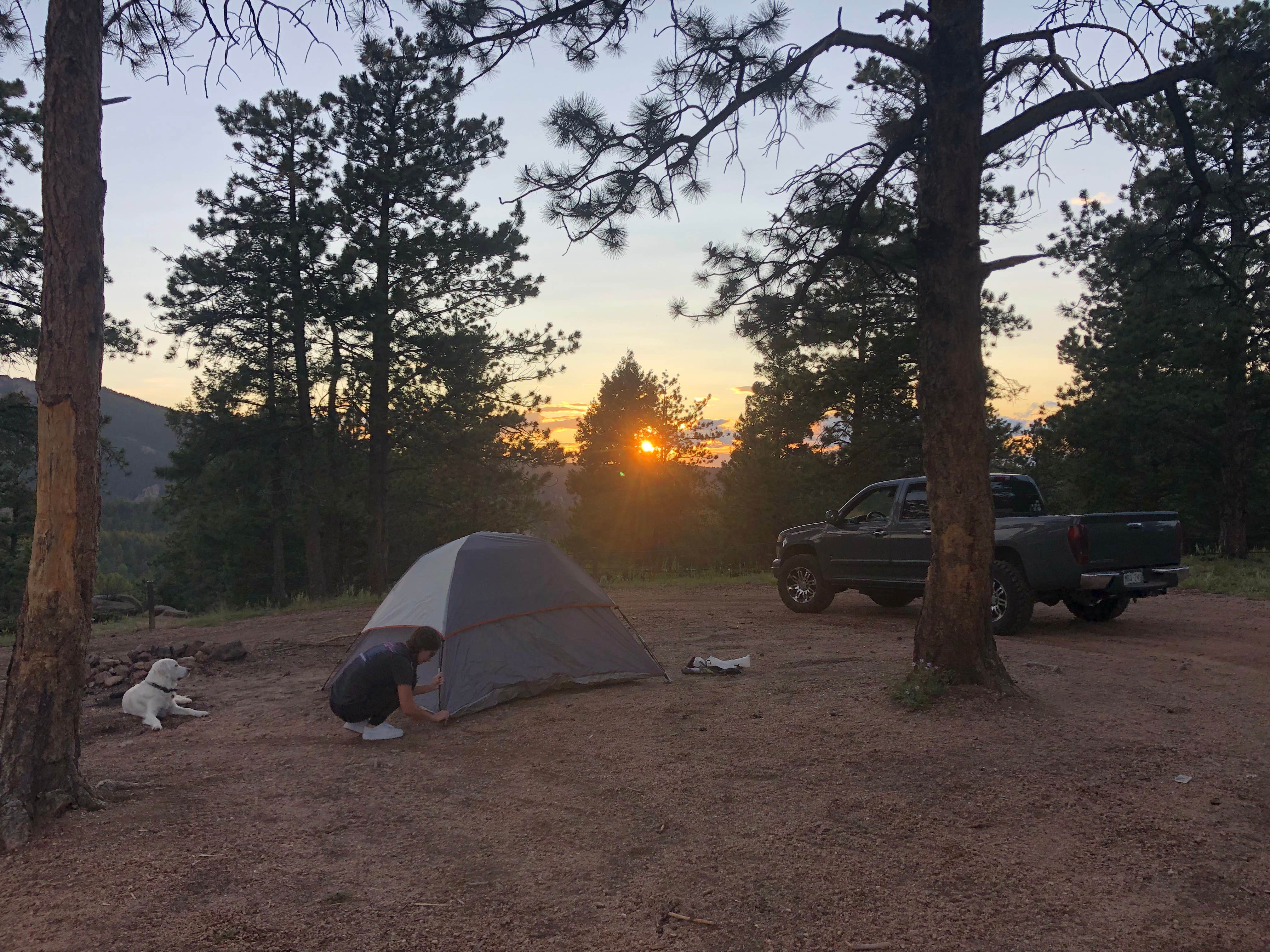 Camper submitted image from Dakan Road Camping - 3