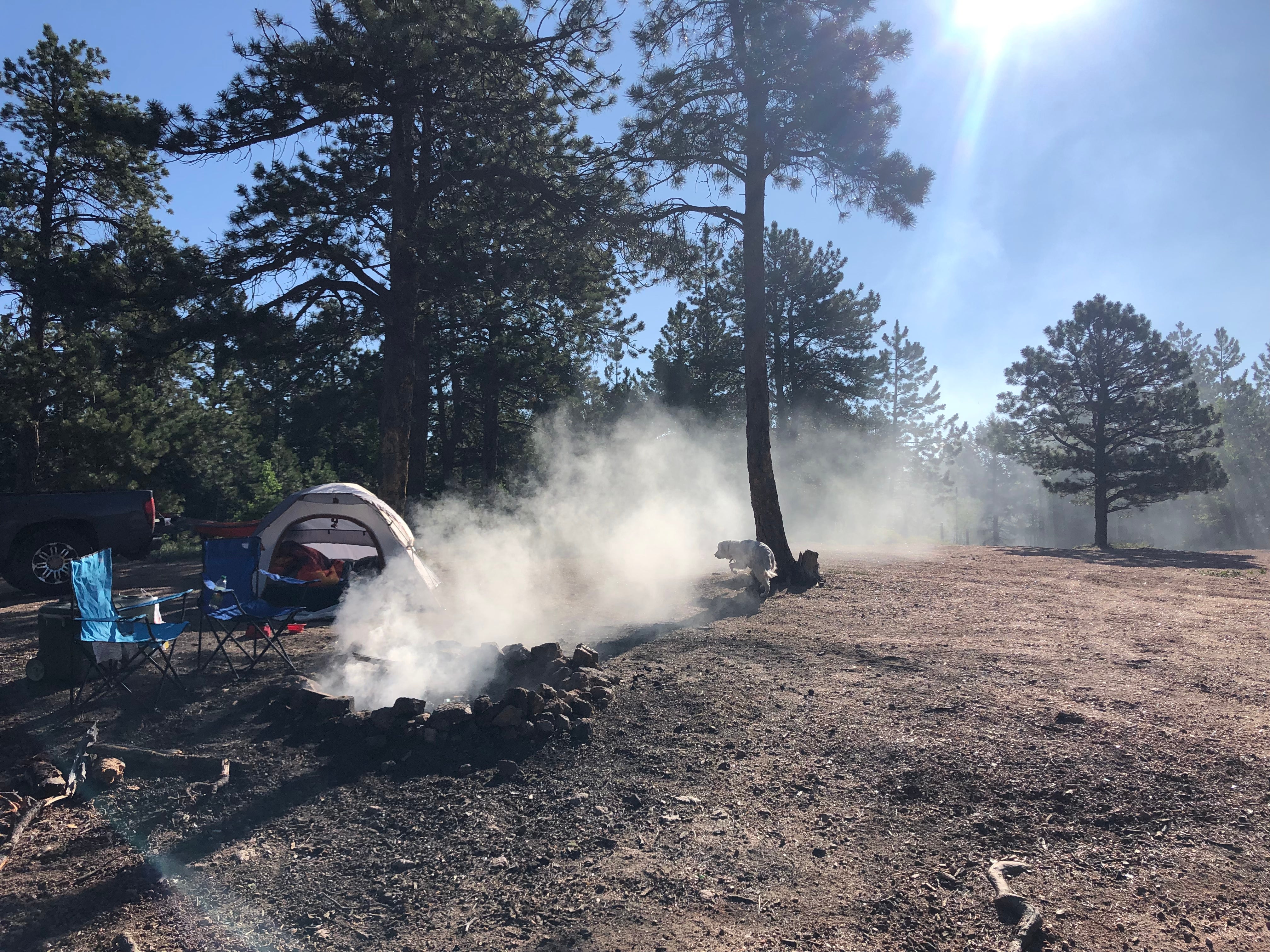 Camper submitted image from Dakan Road Dispersed Camping - 3