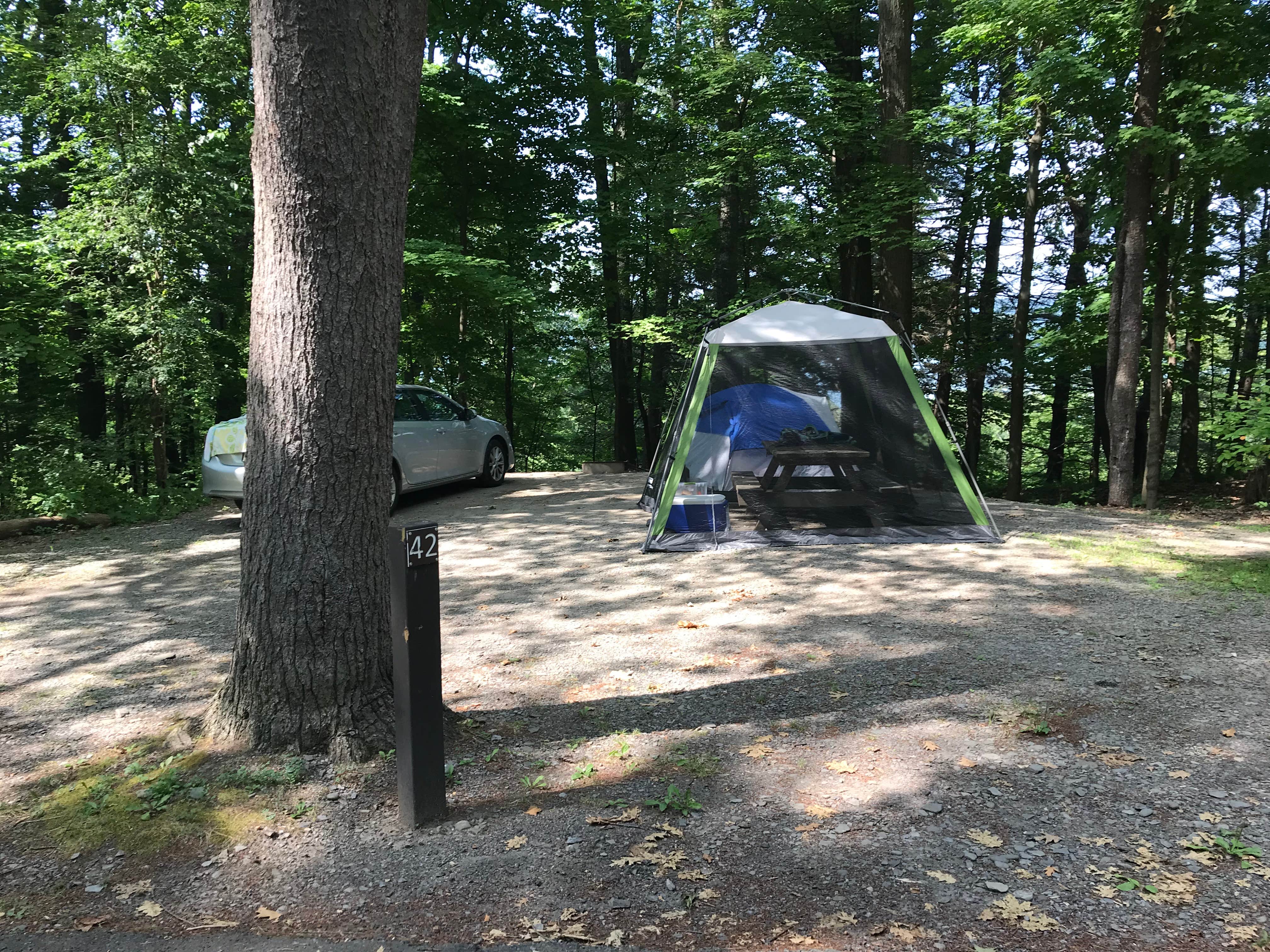 Barbara S.'s photo at Taughannock Falls State Park Campground near Etna, NY