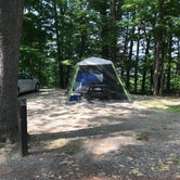Review photo of Taughannock Falls State Park Campground by Barbara S., July 28, 2019