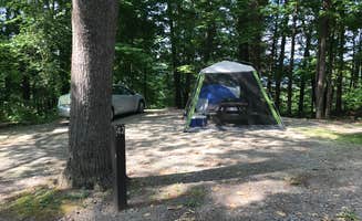 Barbara S.'s photo at Taughannock Falls State Park Campground near Preble, NY