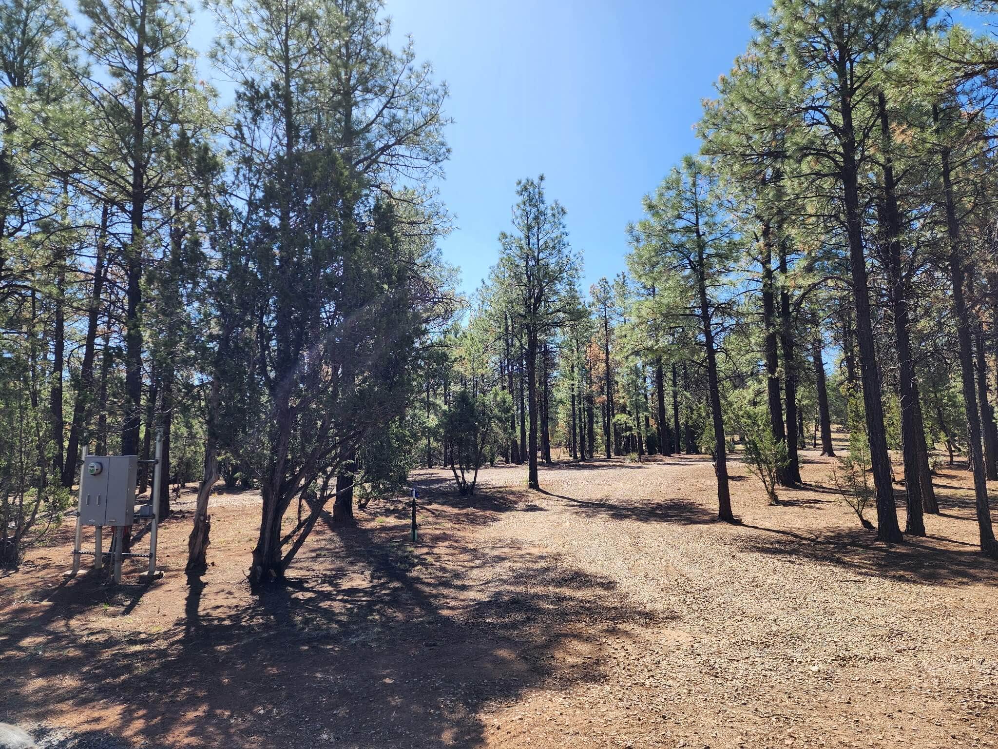 Camper-submitted photo at Forest-Edge RV Haven near Clay Springs, AZ