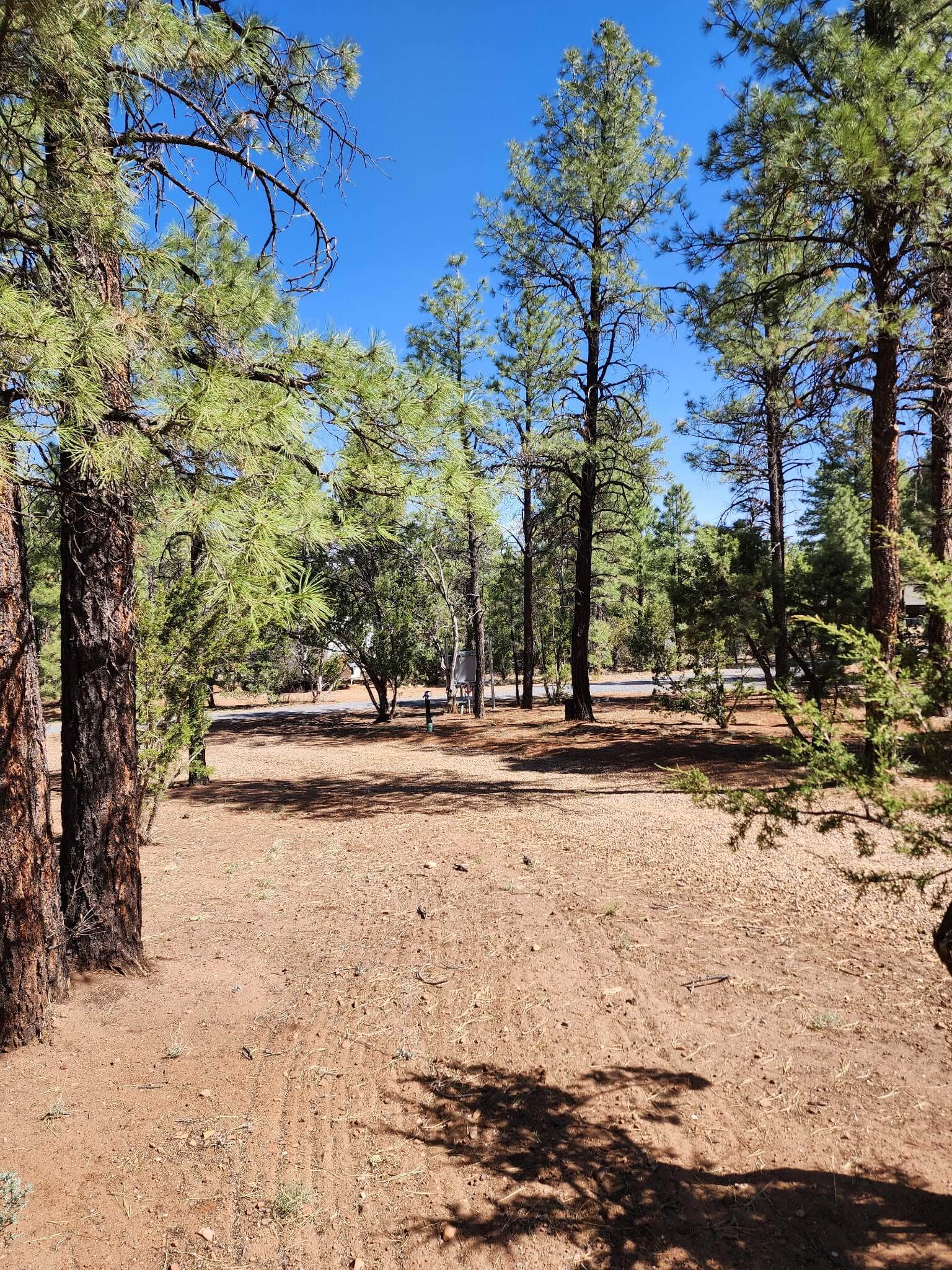 Camper-submitted photo at Forest-Edge RV Haven near Clay Springs, AZ