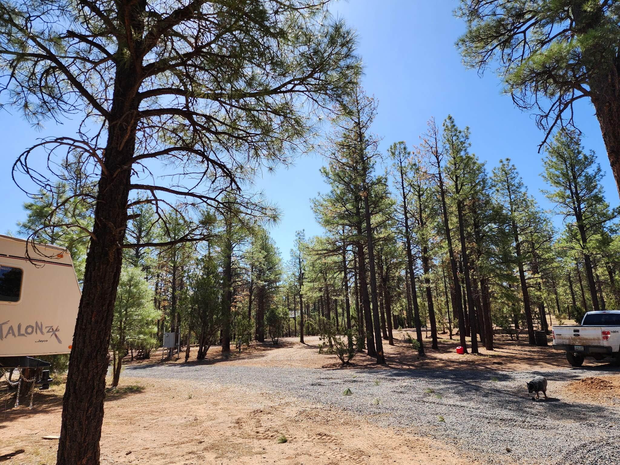 Caylee H.'s photo at Forest-Edge RV Haven near Cibecue, AZ