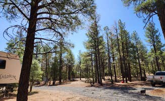 Caylee H.'s photo at Forest-Edge RV Haven near Cibecue, AZ