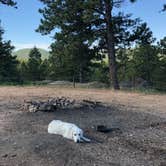 Review photo of Dakan Road Camping by Weston S., July 28, 2019