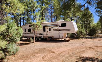 Caylee H.'s photo of rv camping at Forest-Edge RV Haven near Kohls Ranch, AZ