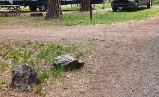 James C.'s photo of rv camping at Catherine Creek State Park Campground near Lostine, OR