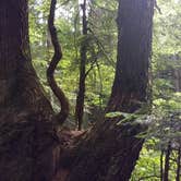 Review photo of Denny Creek Campground by Elliott B., September 22, 2016