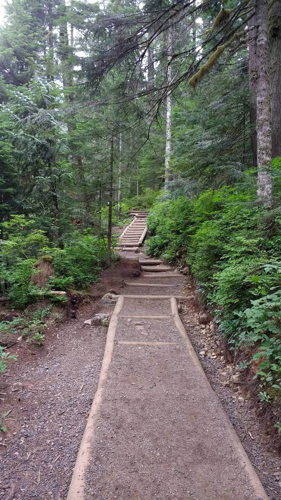 Camper submitted image from Denny Creek Campground - 3