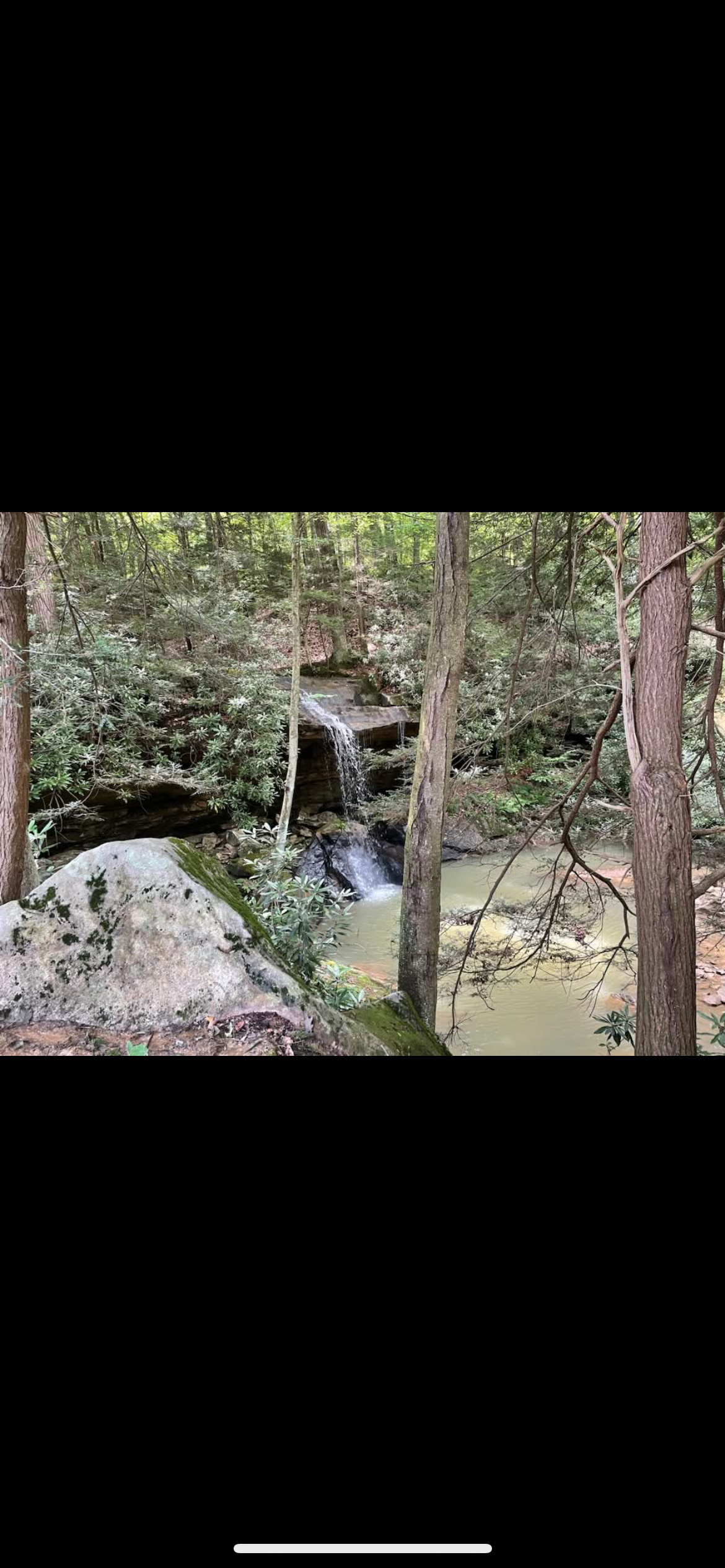 Camper-submitted photo at Misty Mountain Primitive Camping near Belington, WV