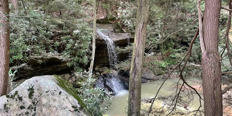 Camper submitted image from Misty Mountain Primitive Camping