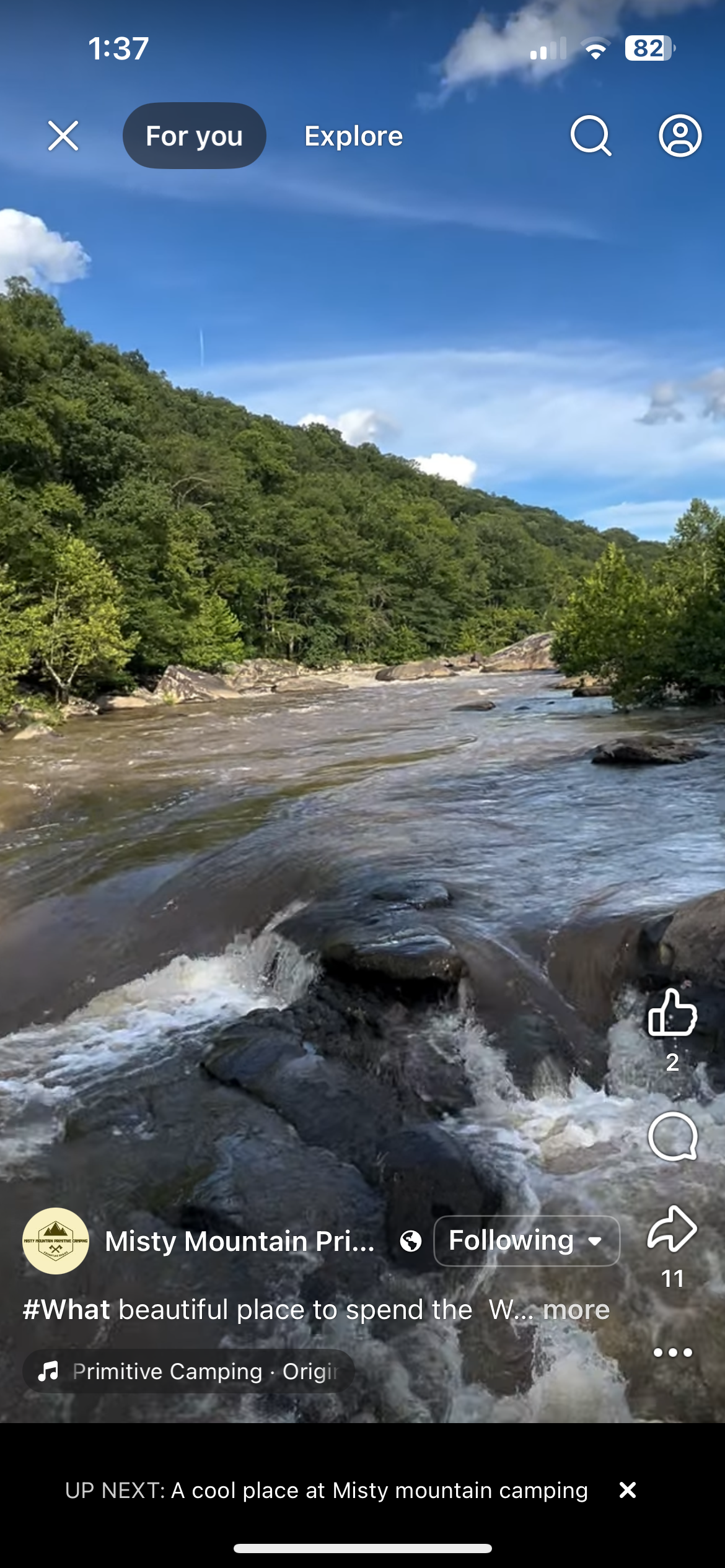 Camper-submitted photo at Misty Mountain Primitive Camping near Belington, WV