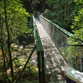 Review photo of Father Adamz Campground — South Cumberland State Park by Jeff C., June 25, 2025