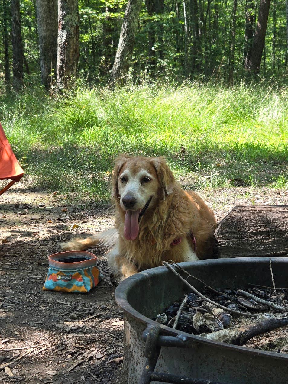 Camper-submitted photo at Father Adamz Campground — South Cumberland State Park near Jasper, TN
