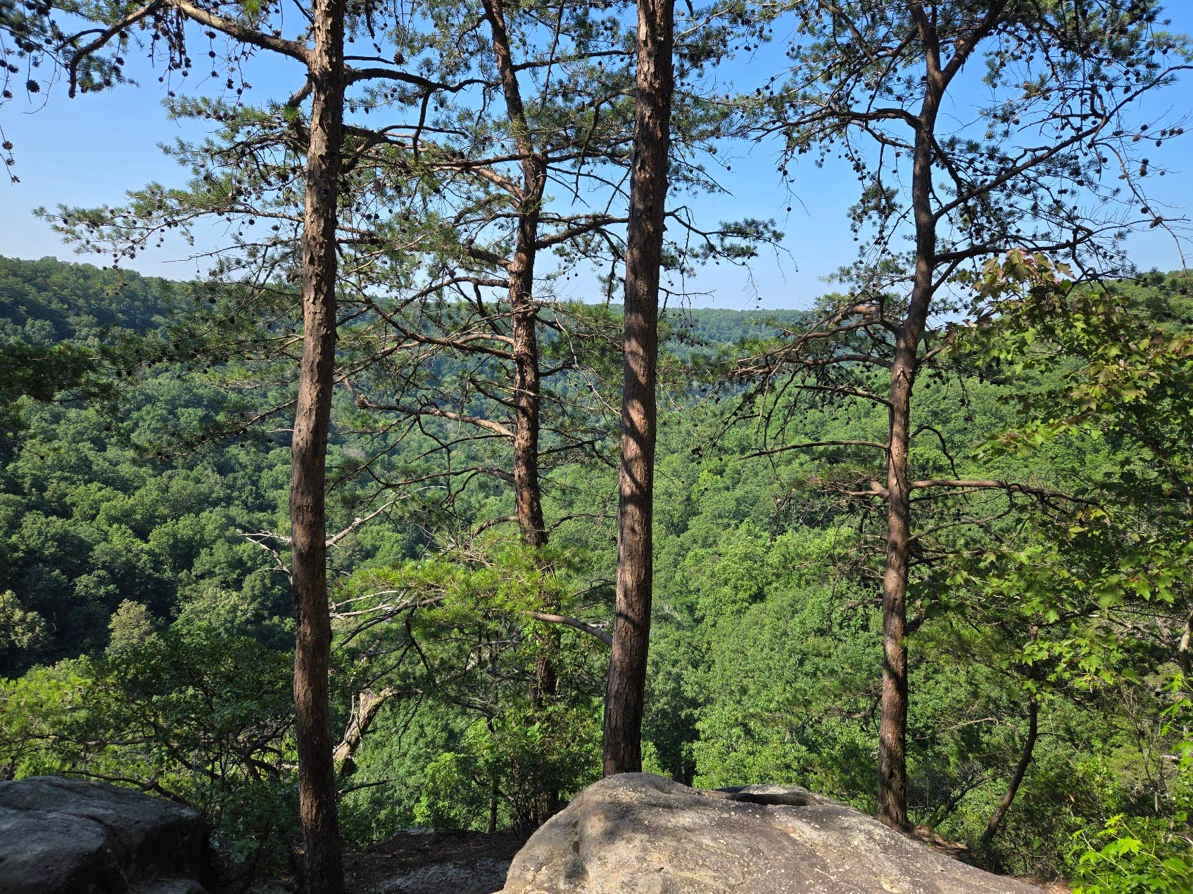 Camper submitted image from Father Adamz Campground — South Cumberland State Park - 1