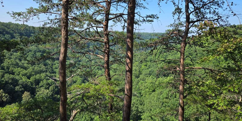 Camper submitted image from Father Adamz Campground — South Cumberland State Park