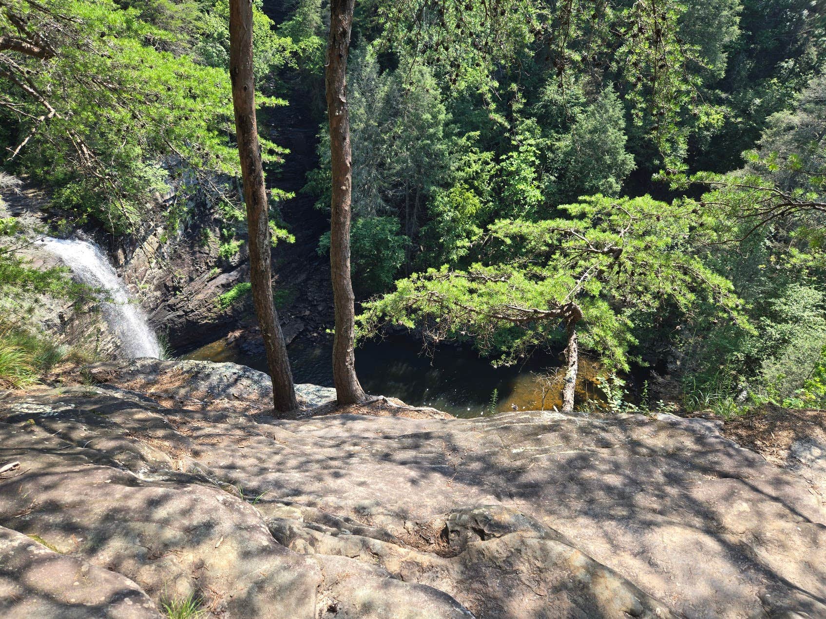 Camper-submitted photo at Father Adamz Campground — South Cumberland State Park near Jasper, TN