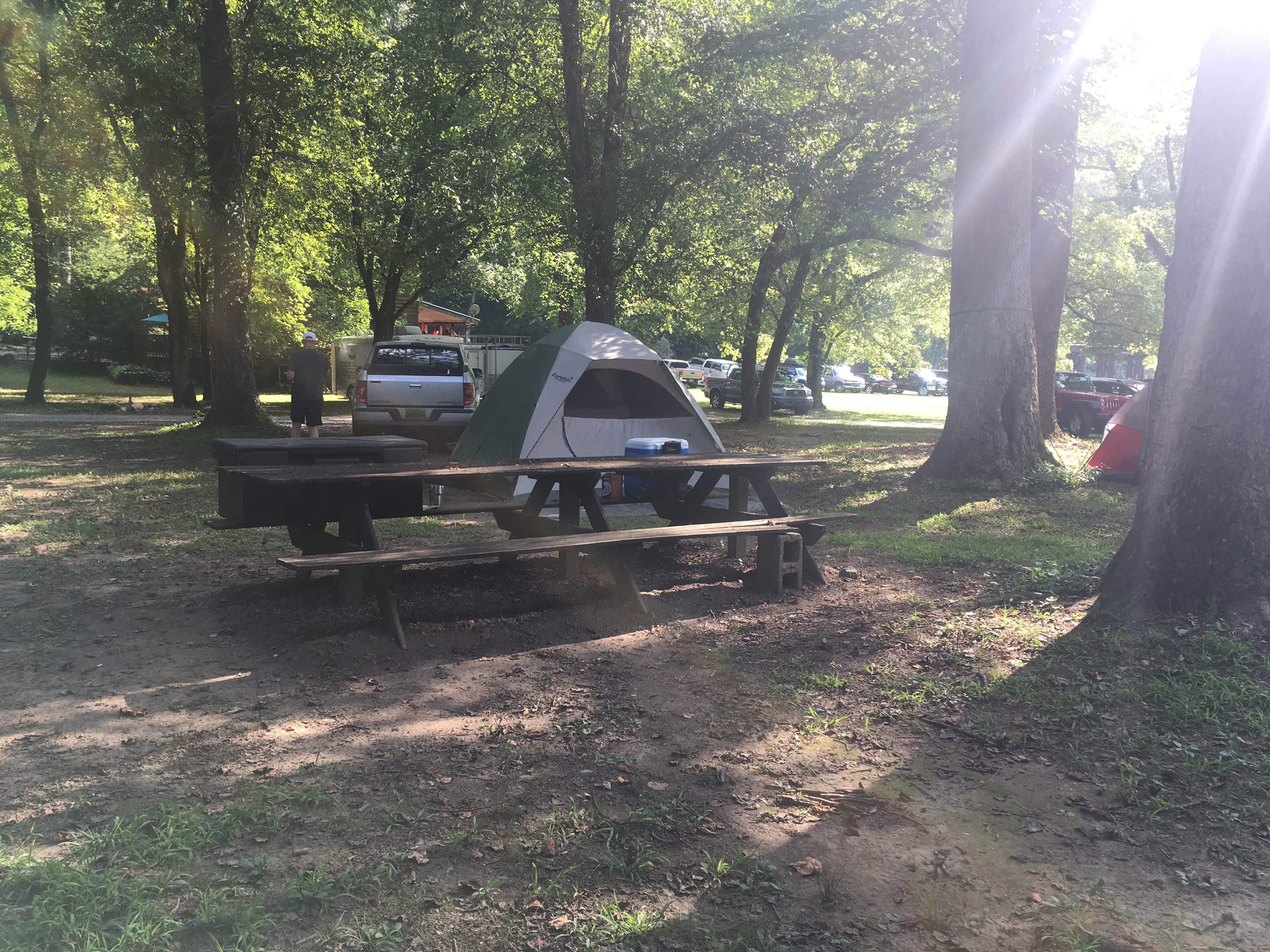 Camper-submitted photo at Hiwassee River Area near Etowah, TN